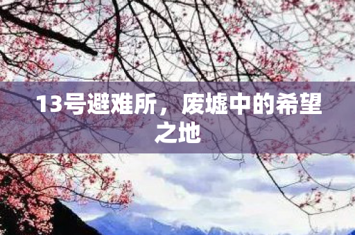 13号避难所，废墟中的希望之地