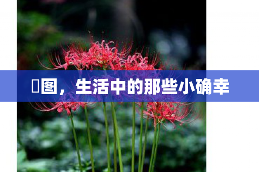囧图,生活中的那些小确幸 囧图,生活中的那些小确幸