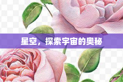 星空，探索宇宙的奥秘