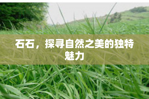 石石，探寻自然之美的独特魅力