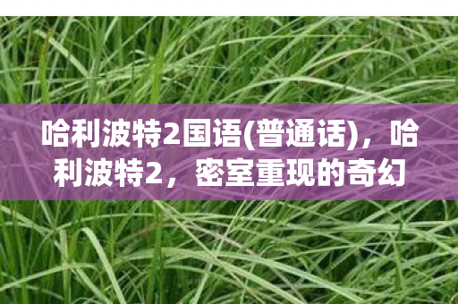 哈利波特2国语(普通话)，哈利波特2，密室重现的奇幻冒险