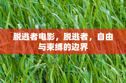 脱逃者电影，脱逃者，自由与束缚的边界