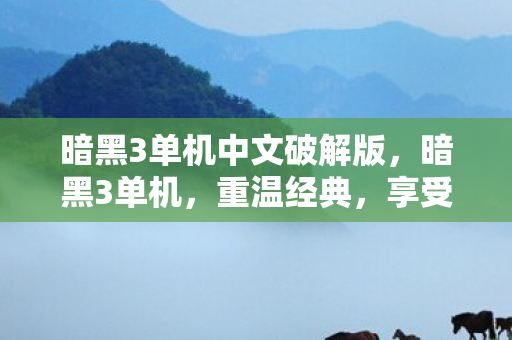 暗黑3单机中文破解版，暗黑3单机，重温经典，享受单机版的独特魅力