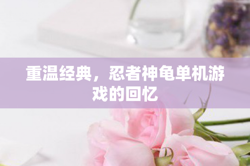 重温经典,忍者神龟单机游戏的回忆 重温经典,忍者神龟单机游戏的回忆