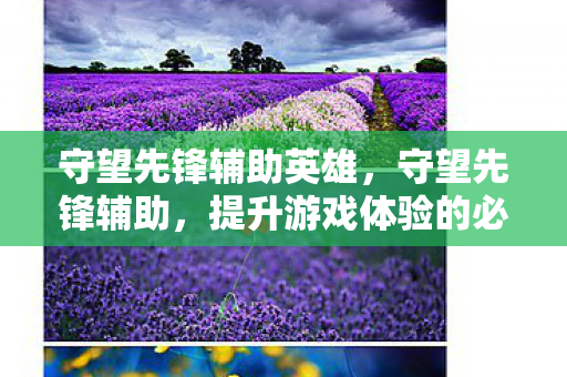 守望先锋辅助英雄，守望先锋辅助，提升游戏体验的必备工具