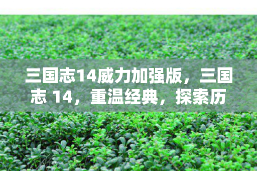 三国志14威力加强版,三国志 14,重温经典,探索历史长河中的英雄传奇 三国志14威力加强版,三国志 14,重温经典,探索历史长河中的英雄传奇