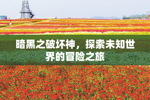 暗黑之破坏神，探索未知世界的冒险之旅