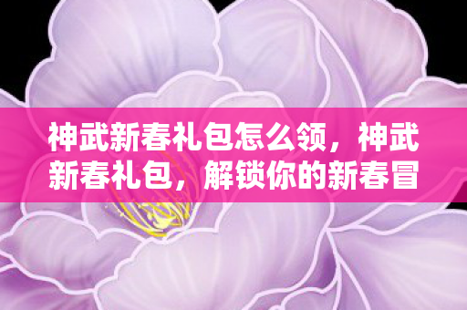 神武新春礼包怎么领，神武新春礼包，解锁你的新春冒险之旅
