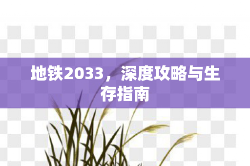 地铁2033，深度攻略与生存指南