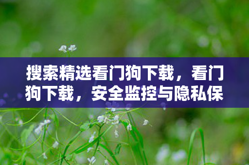 搜索精选看门狗下载，看门狗下载，安全监控与隐私保护的必备工具