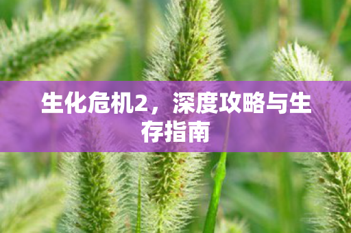 生化危机2，深度攻略与生存指南