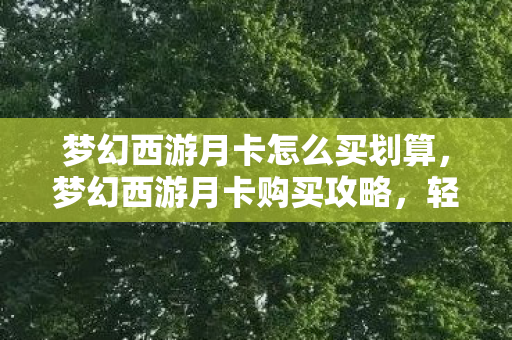 梦幻西游月卡怎么买划算，梦幻西游月卡购买攻略，轻松享受游戏特权
