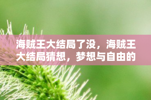 海贼王大结局了没，海贼王大结局猜想，梦想与自由的终极篇章
