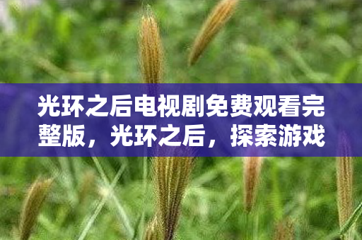 光环之后电视剧免费观看完整版，光环之后，探索游戏文化的深层影响