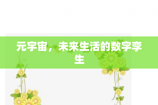 元宇宙，未来生活的数字孪生