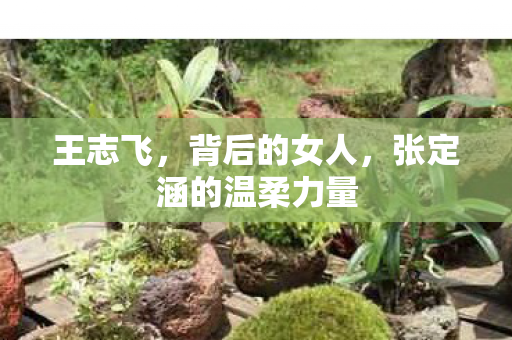 王志飞，背后的女人，张定涵的温柔力量