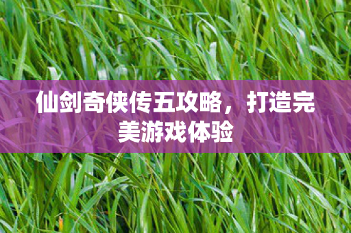 仙剑奇侠传五攻略，打造完美游戏体验