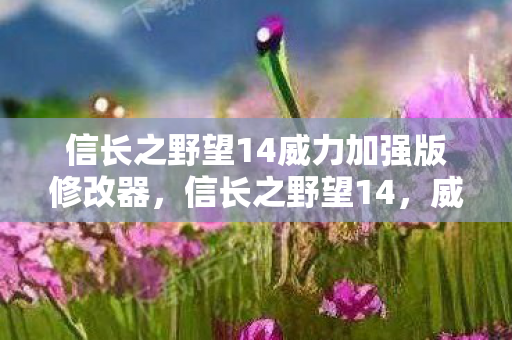 信长之野望14威力加强版修改器图片