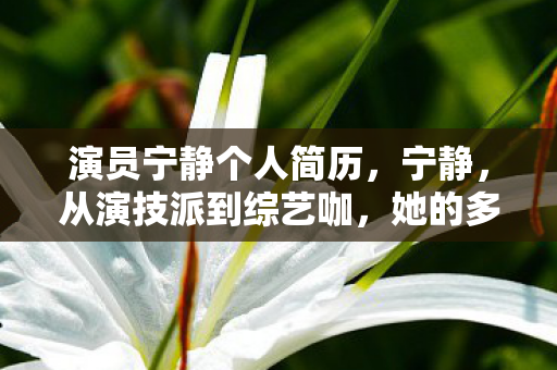 演员宁静个人简历，宁静，从演技派到综艺咖，她的多面人生