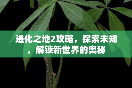 进化之地2攻略，探索未知，解锁新世界的奥秘