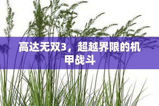 超越界限的机甲战斗图片