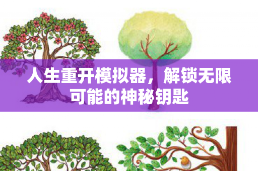解锁无限可能的神秘钥匙图片