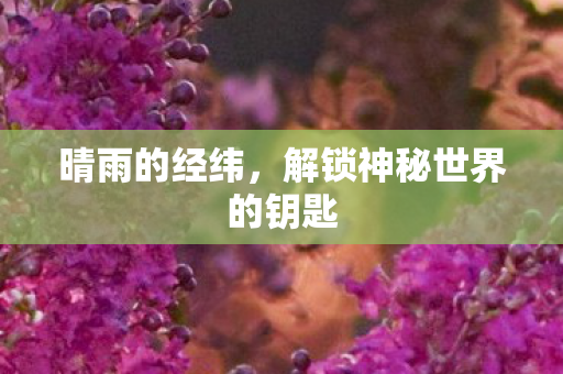 晴雨的经纬，解锁神秘世界的钥匙