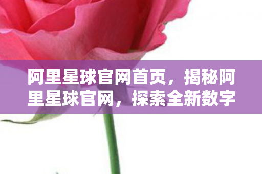 阿里星球官网首页，揭秘阿里星球官网，探索全新数字娱乐生态