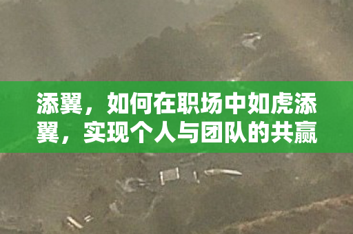 添翼，如何在职场中如虎添翼，实现个人与团队的共赢