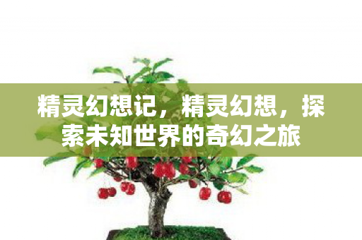 精灵幻想记，精灵幻想，探索未知世界的奇幻之旅