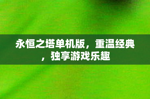 永恒之塔单机版，重温经典，独享游戏乐趣