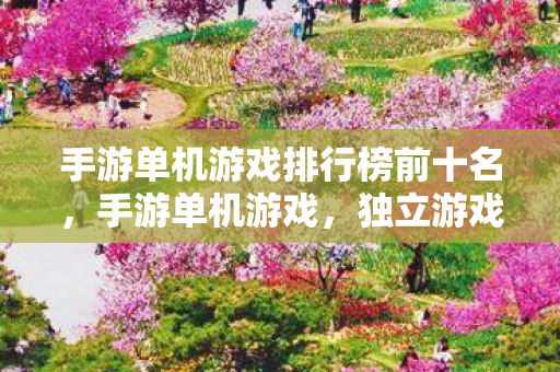 手游单机游戏排行榜前十名，手游单机游戏，独立游戏的新篇章
