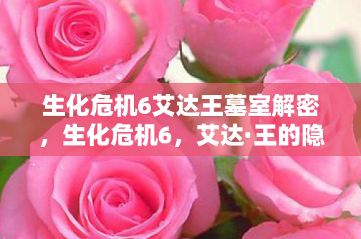 生化危机6艾达王墓室解密，生化危机6，艾达·王的隐秘与魅力