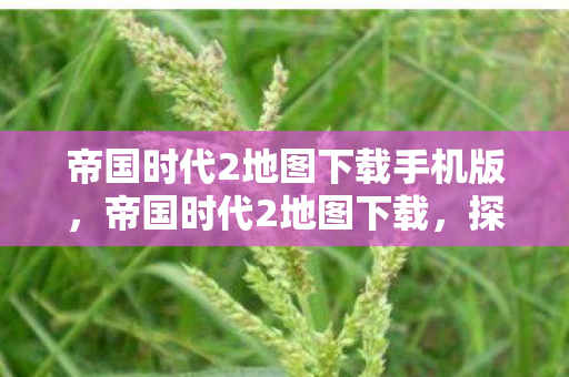 帝国时代2地图下载手机版，帝国时代2地图下载，探索未知世界的奇妙之旅