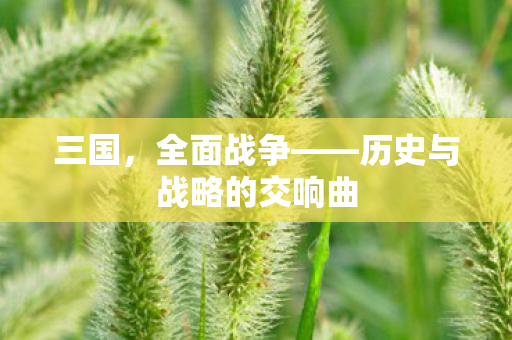 三国，全面战争——历史与战略的交响曲