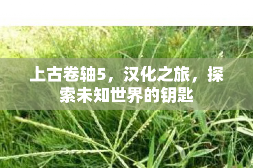 上古卷轴5，汉化之旅，探索未知世界的钥匙