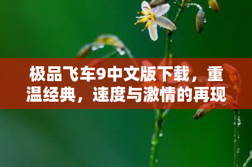 极品飞车9中文版下载，重温经典，速度与激情的再现