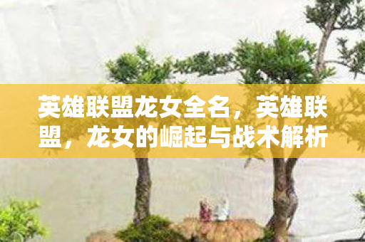 龙女的崛起与战术解析图片