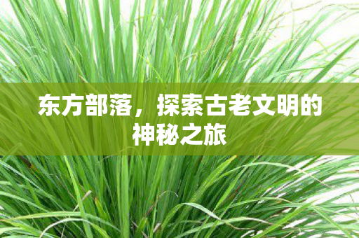 探索古老文明的神秘之旅图片