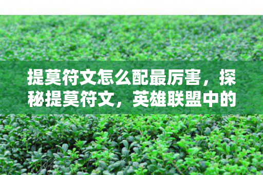 提莫符文怎么配最厉害，探秘提莫符文，英雄联盟中的神秘力量