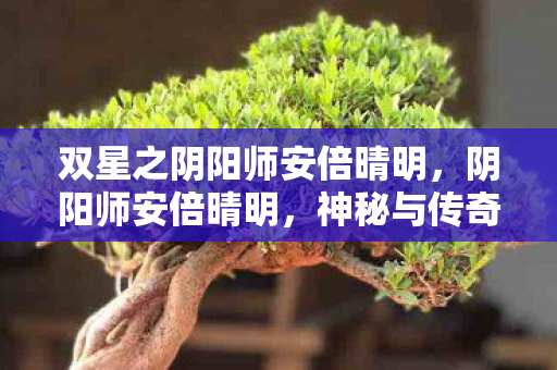 双星之阴阳师安倍晴明，阴阳师安倍晴明，神秘与传奇的交织