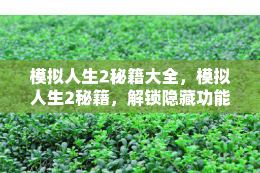 模拟人生2秘籍大全，模拟人生2秘籍，解锁隐藏功能，打造完美人生