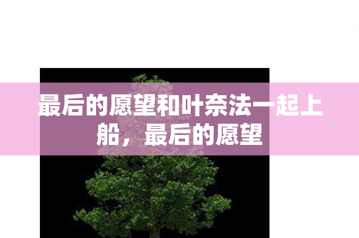 最后的愿望和叶奈法一起上船，最后的愿望