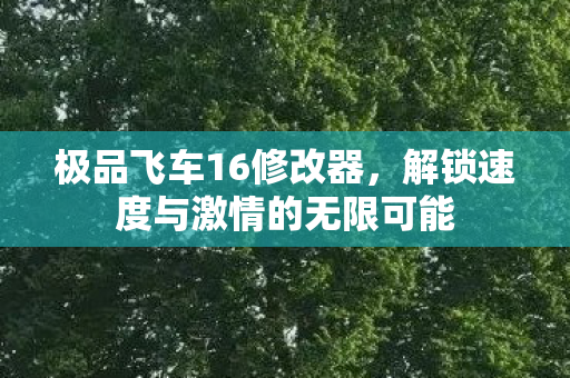 解锁速度与激情的无限可能图片
