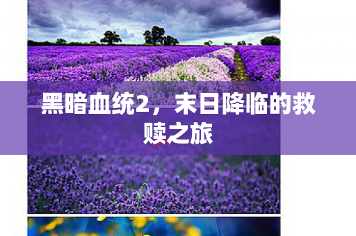 黑暗血统2，末日降临的救赎之旅