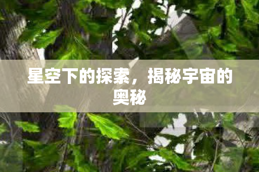 星空下的探索，揭秘宇宙的奥秘