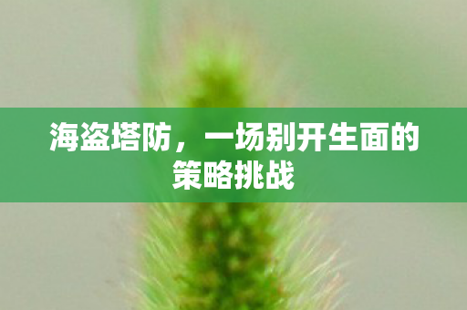 海盗塔防，一场别开生面的策略挑战