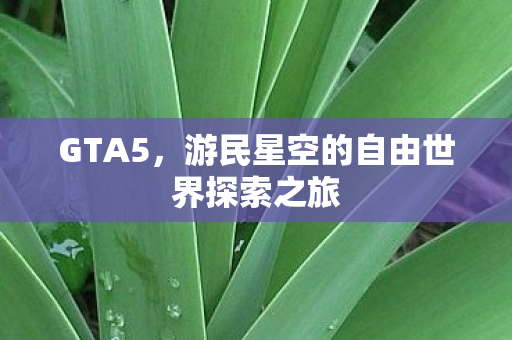 游民星空的自由世界探索之旅图片