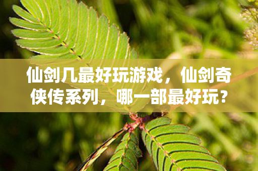 仙剑几最好玩游戏图片