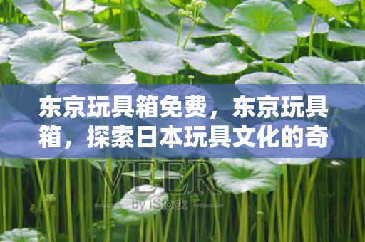 探索日本玩具文化的奇妙之旅图片